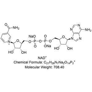 NAD;β-煙酰胺腺嘌呤二核苷酸