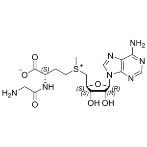 丁二磺酸腺苷蛋氨酸雜質(zhì)II；5'-[[(3R)-3-[(2-氨基乙?；?氨基]-3-羧丙基]甲基锍]-5'-脫氧腺苷