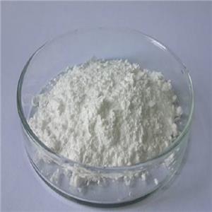 2-氯噻吩-5-甲酸,5-Chloro-2-thiophenecarboxylic Acid