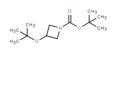 1-Azetidinecarboxylic acid, 3-(1,1-dimethylethoxy)-, 1,1-dimethylethyl ester,1-Azetidinecarboxylic acid, 3-(1,1-dimethylethoxy)-, 1,1-dimethylethyl ester