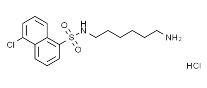 W-7 hydrochloride,W-7 hydrochloride