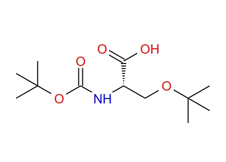 N-BOC-O-叔丁基-DL-絲氨酸,N-Boc-O-tert-butyl-DL-serine