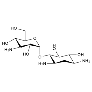 脱氧链烷胺-金那胺,Deoxystreptamine-kanosaminide