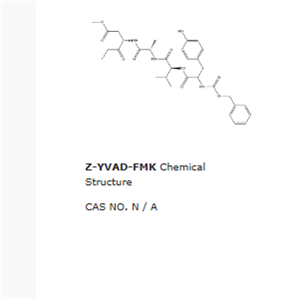 Z-YVAD-FMK 210344-97-1