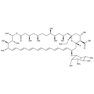 两性霉素B EP杂质C,Amphotericin B EP Impurity C