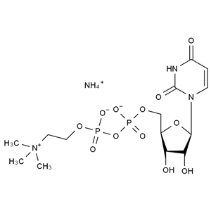 CATO_尿苷二磷酸胆碱铵盐__95%