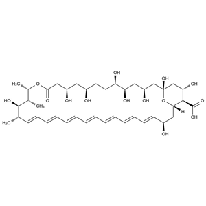 兩性乙內(nèi)酯B,Amphoteronolide B