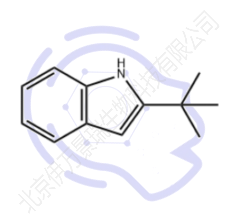 2-(叔丁基)-1H-吲哚,2-(tert-Butyl)-1H-indole