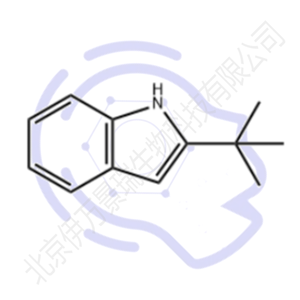 2-(叔丁基)-1H-吲哚