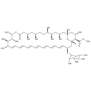 CATO_两性霉素杂质1(两性霉素B甲酯)_36148-89-7_95%