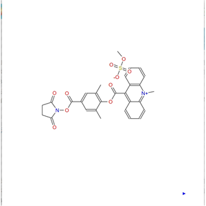 吖啶酯DMAE-NHS