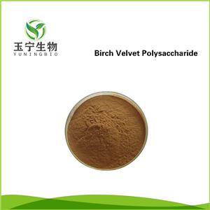 白樺茸多糖,Birch Velvet polysaccharide