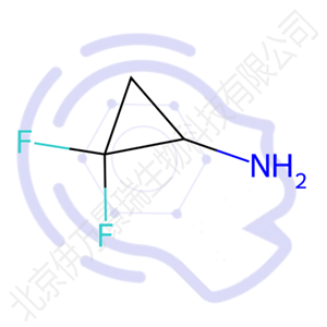 2,2-二氟環(huán)丙基胺鹽酸鹽,2,2-Difluorocyclopropylamine hydrochloride