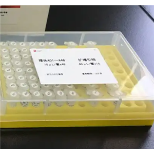 Haemobartonella canis犬血巴尔通体PCR试剂盒