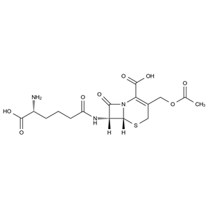 CATO_头孢菌素C_61-24-5_97%