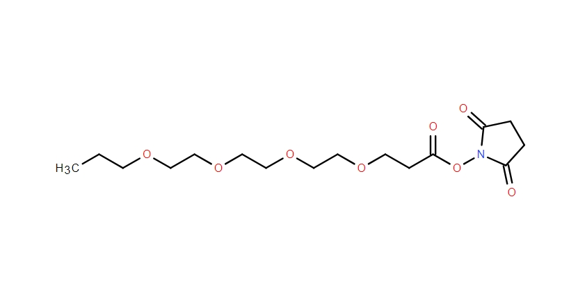 2,5-二氧代吡咯烷-1-基 4,7,10,13-四氧雜十六烷酸酯,2,5-Dioxopyrrolidin-1-yl 4,7,10,13-tetraoxahexadecanoate