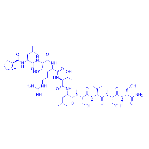 钙调素依赖蛋白激酶底物,Calmodulin Dependent Protein KinaseSubstrate