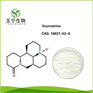 苦参素,Oxymatrine