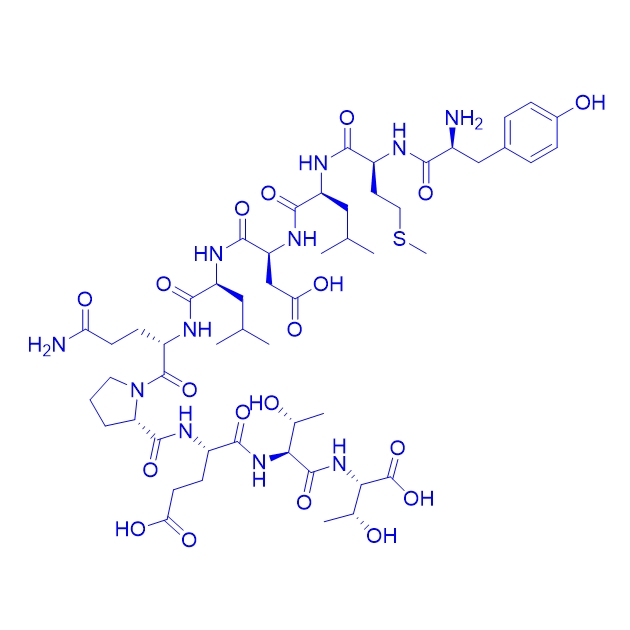 限制性人細(xì)胞毒性T淋巴細(xì)胞 (CTL) 表位蛋白多肽11-20,HPV16-E711-20 epitope