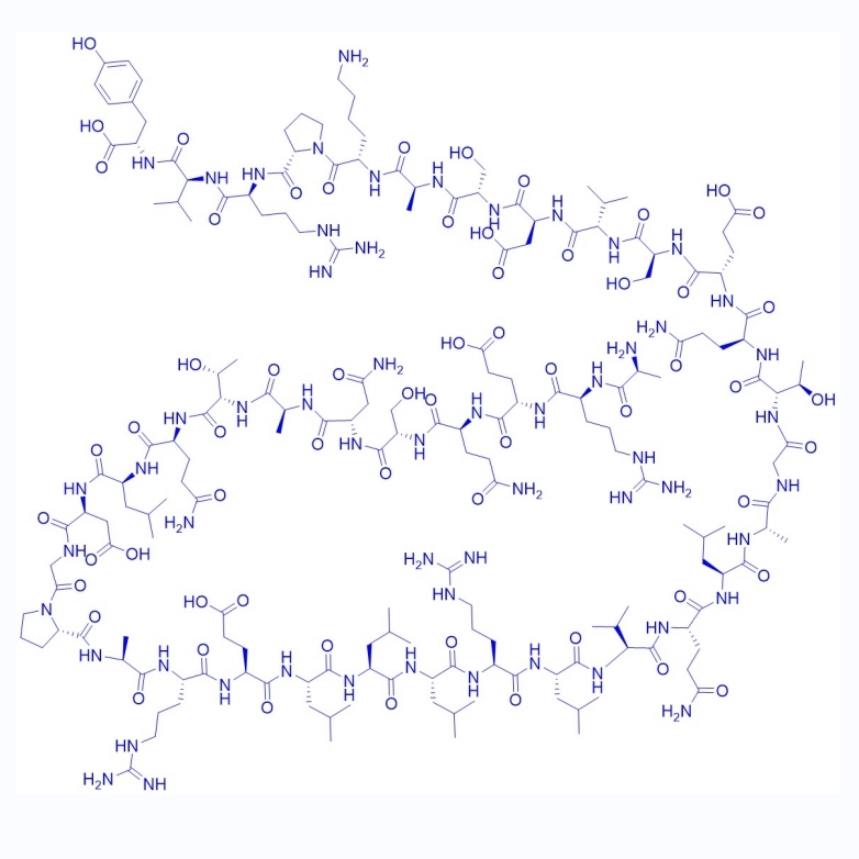 Copeptin (rat)