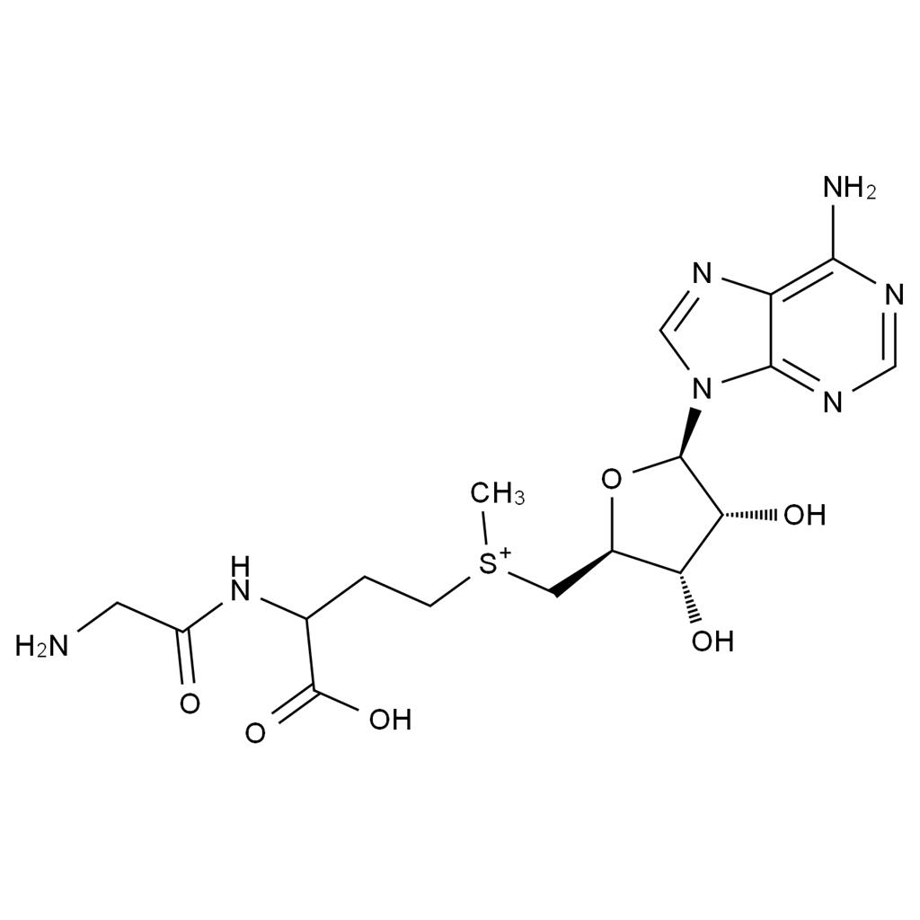 腺苷蛋氨酸雜質(zhì)2,Ademetionine Impurity 2