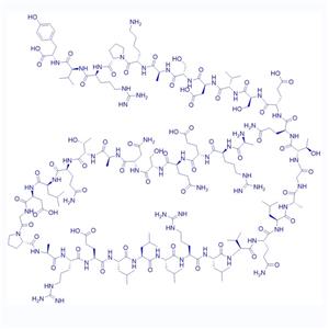 Copeptin (rat)