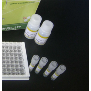 番茄褪綠斑病毒RT-PCR試劑盒,Tomato Chlorotic Spot Virus(TCSV)