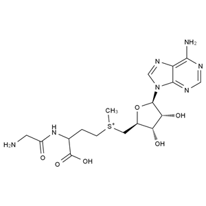 CATO_腺苷蛋氨酸雜質(zhì)2__97%