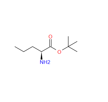 L-正缬氨酸叔丁酯,L-Norvaline t-butyl ester