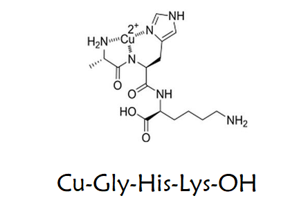 蓝铜肽/铜胜肽,GHK-CU copper peptide