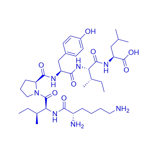 神经介素 N Neuromedin N,Neuromedin N