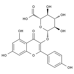 山奈酚-3-葡萄糖醛酸盐,Kaempferol-3-Glucuronide