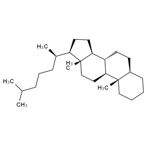 CATO_5alpha-胆甾烷_481-21-0_97%