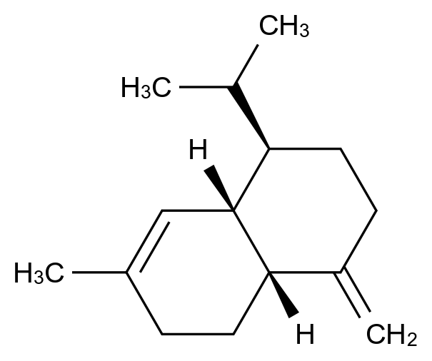 γ-Muurolene