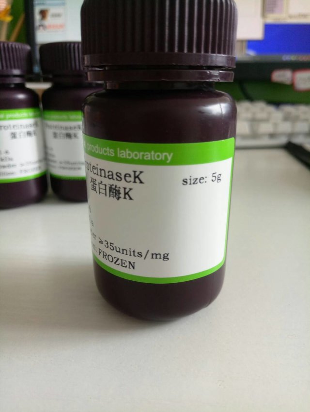 蛋白酶K,ProteinaseK