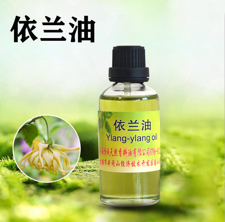 依蘭油,Ylang Ylang oil