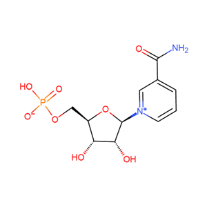 β-煙酰胺單核苷酸,NMN, β-Nicotinamide Mononuceotide