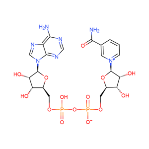 β-煙酰胺腺嘌呤二核苷酸,NAD, β-Nicotinamide adenine dinucleotide