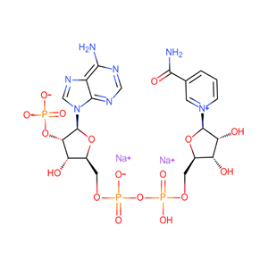 β-烟酰胺腺嘌呤二核苷酸磷酸钠盐,NADP-Na,Triphosphopyridine nucleotide sodium salt  hydrate