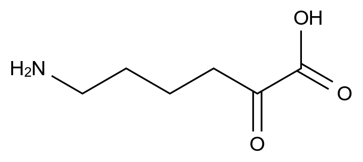 6-氨基-2-氧代己酸,6-Amino-2-oxohexanoic acid