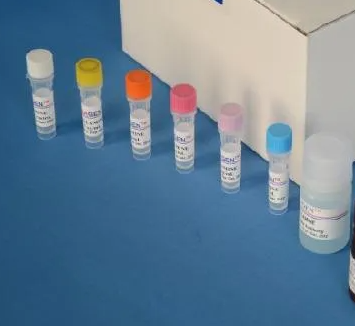 小鼠白血病病毒RT-PCR試劑盒,Mouse Leukemia Virus(MLV)