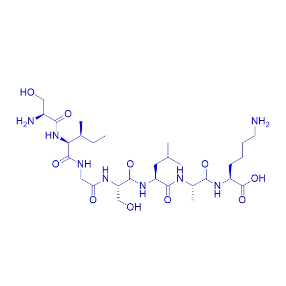 結(jié)合蛋白多肽SIGSLAK,H-Ser-Ile-Gly-Ser-Leu-Ala-Lys-OH