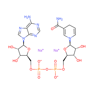 β-煙酰胺腺嘌呤二核苷酸二鈉鹽,NADH, β-Nicotinamide Adenine Dinucleotide Disodium Salt