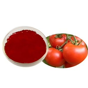 番茄红素,Lycopene