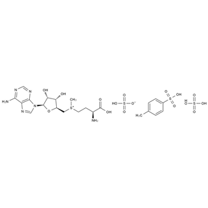 CATO_S-腺苷-L-甲硫氨酸二硫酸鹽甲苯磺酸鹽_97540-22-2_97%