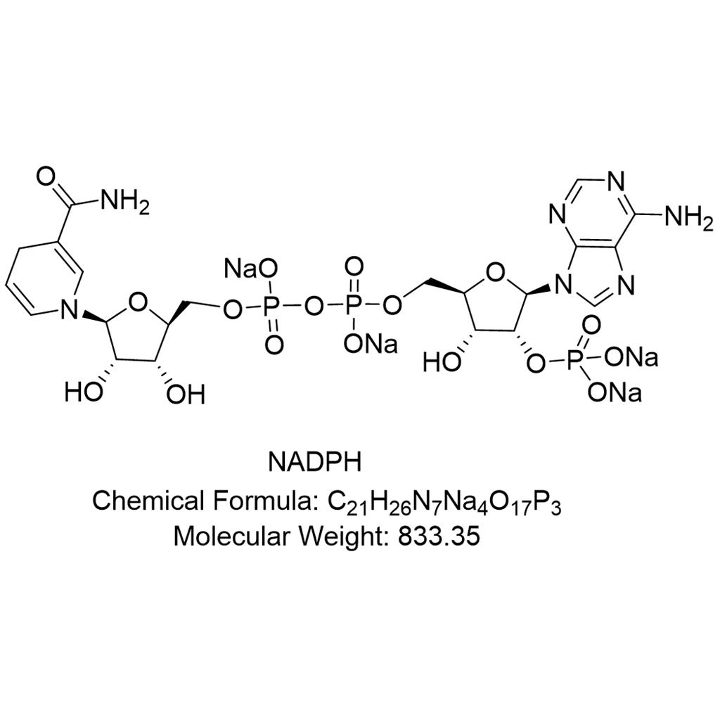 還原型煙酰胺腺嘌呤二核苷酸磷酸(4鈉鹽),β-Nicotinamide adenine dinucleotide phosphate, reduced form, sodium salt