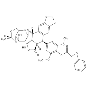 CATO_依托泊苷EP杂质F__97%