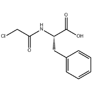 N-氯乙酰基-DL-苯丙氨酸