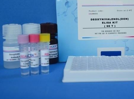 人乳頭瘤病毒14 PCR試劑盒,Human Papillomavirus 14(HPV-14)