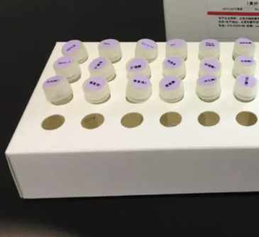 人乳頭瘤病毒13 PCR試劑盒,Human Papillomavirus 13(HPV-13)